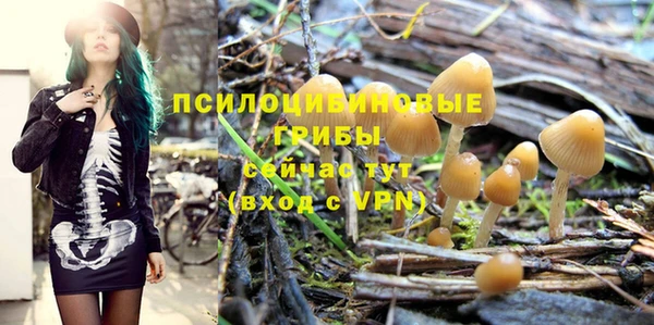 спайс Нея