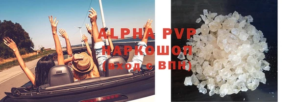 индика Нефтекумск