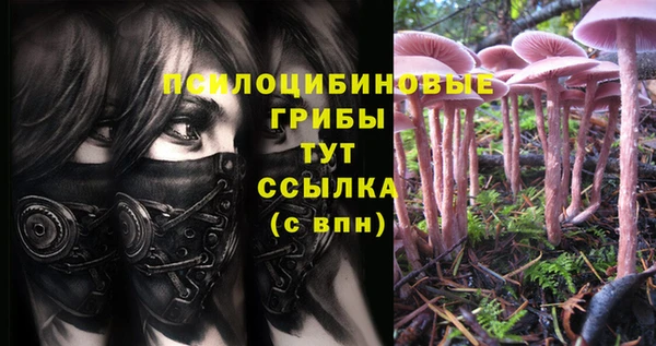 спайс Нея