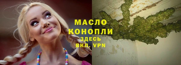 индика Нефтекумск