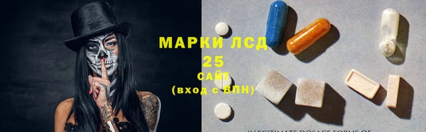 стаф Нефтегорск