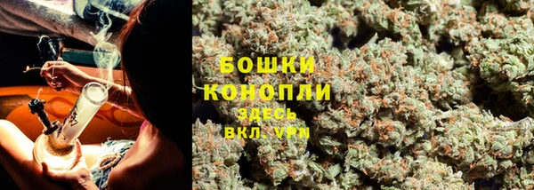 стаф Нефтегорск