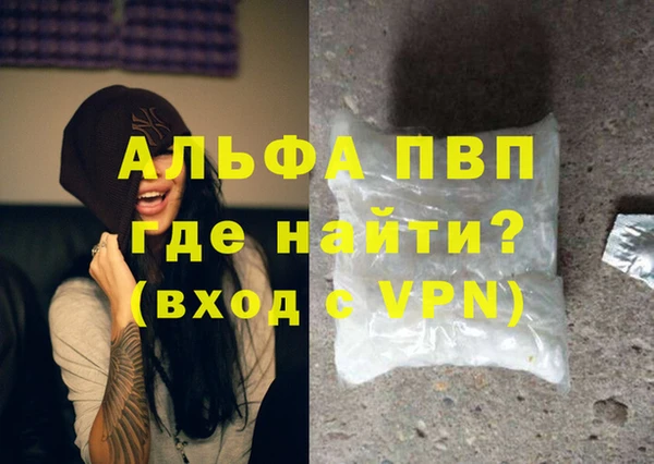 стаф Нефтегорск