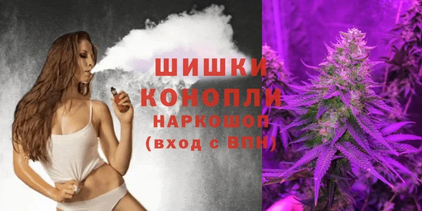 спайс Нея