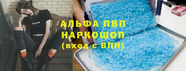 индика Нефтекумск