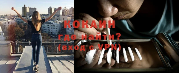 стаф Нефтегорск